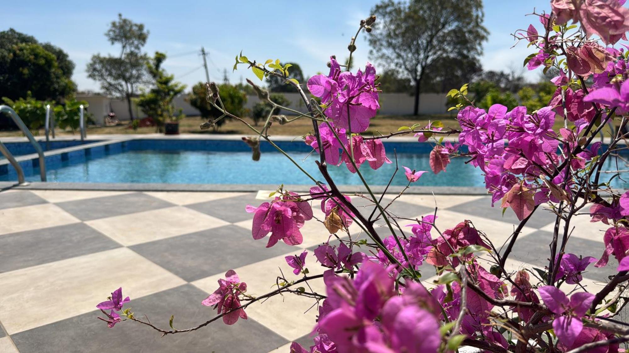 Raj Home Stay Mysore Ngoại thất bức ảnh